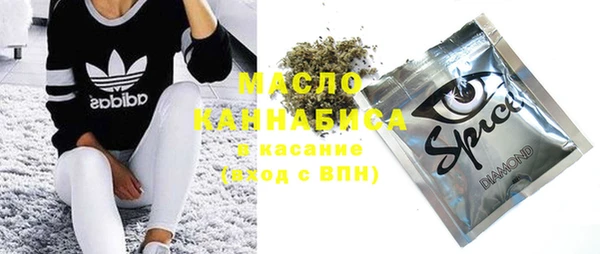 шишки Каменногорск