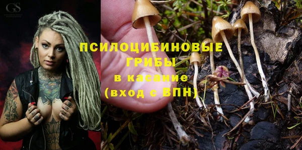мескалин Инта