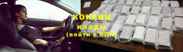 шишки Каменногорск