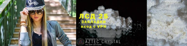 шишки Каменногорск