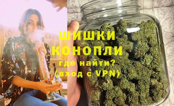 шишки Каменногорск