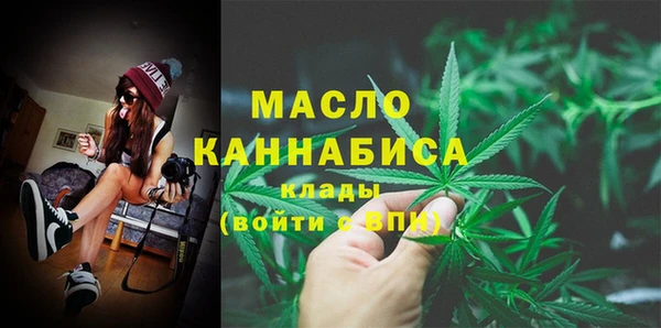 шишки Каменногорск