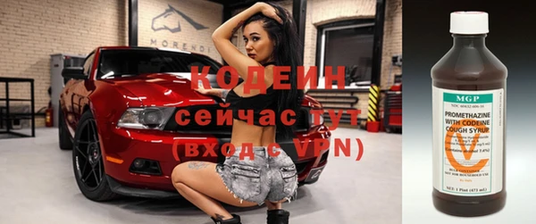 шишки Каменногорск
