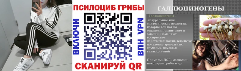 купить закладку  MEGA сайт  Псилоцибиновые грибы мицелий  Козловка 